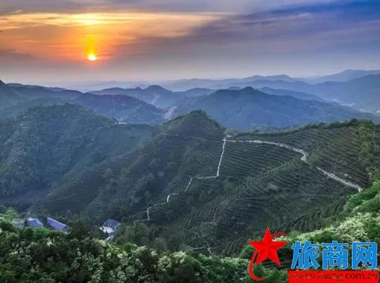 旅商網(wǎng) || 來(lái)臨湘白石茶園體驗(yàn)“龍脊梯田”層層迭迭的壯美